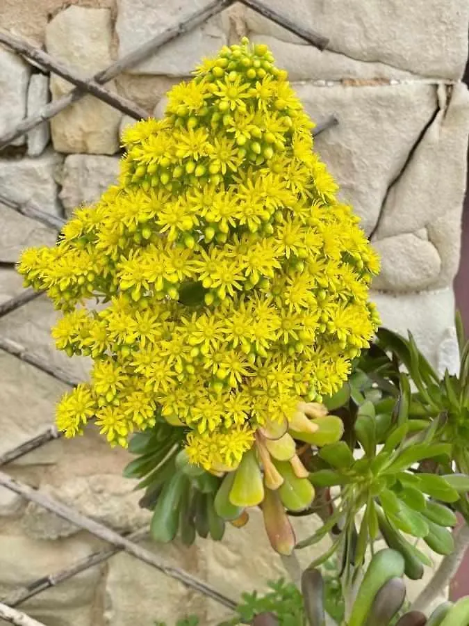 Country house Torre Dantona Country Hotel Marina di Modica